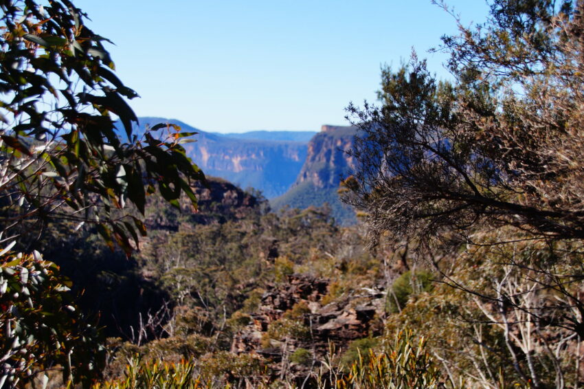 Grand Canyon at Blue Mountains NSW